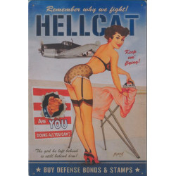 MI6040 - Hellcat